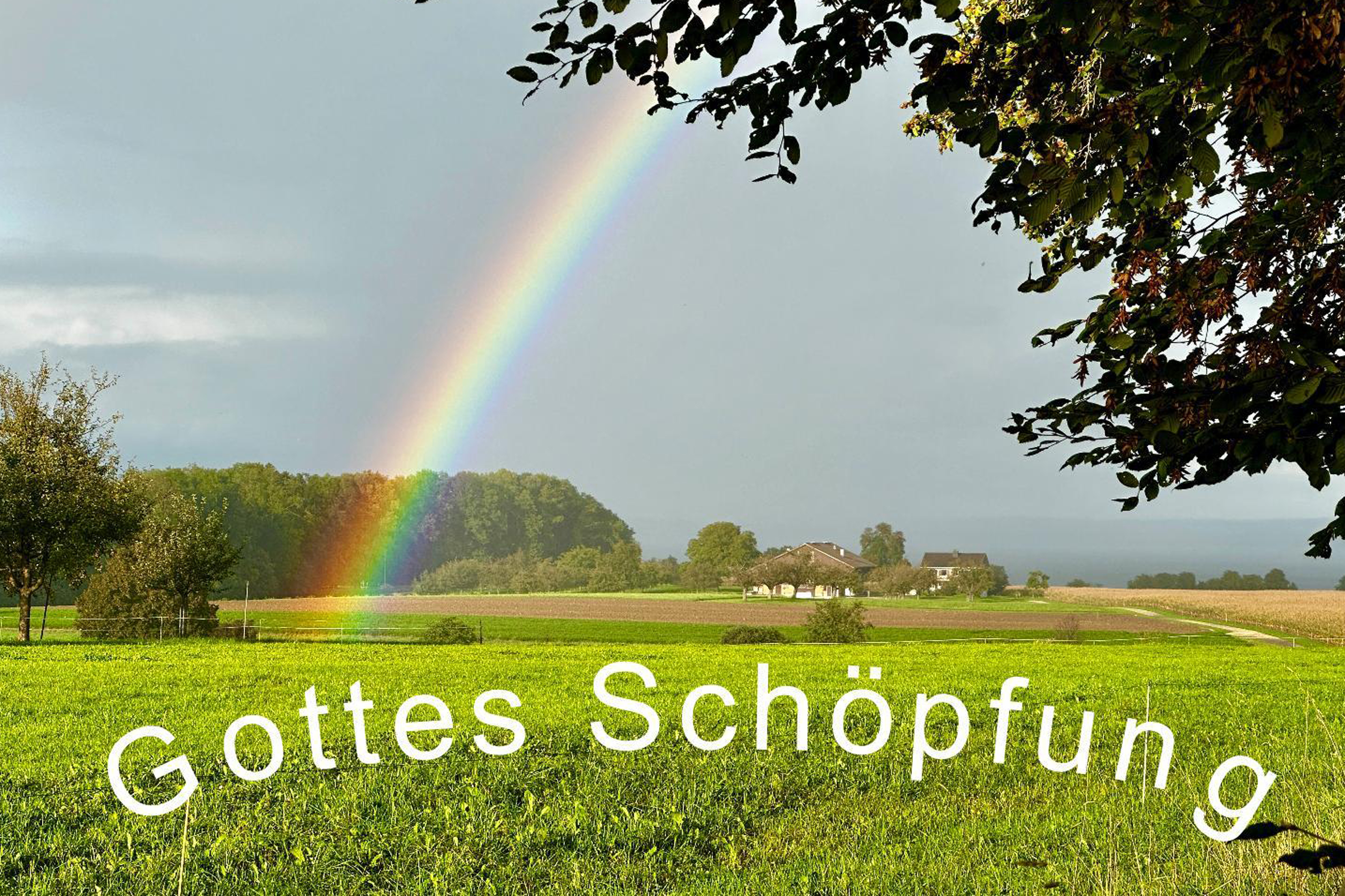Regenbogen